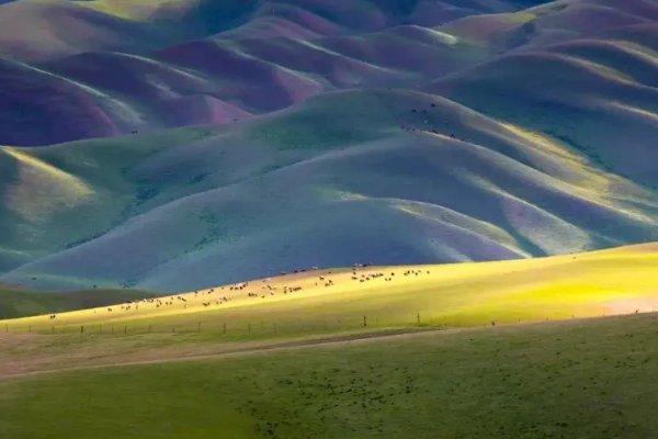 塔城职业技术学院在哪个城市