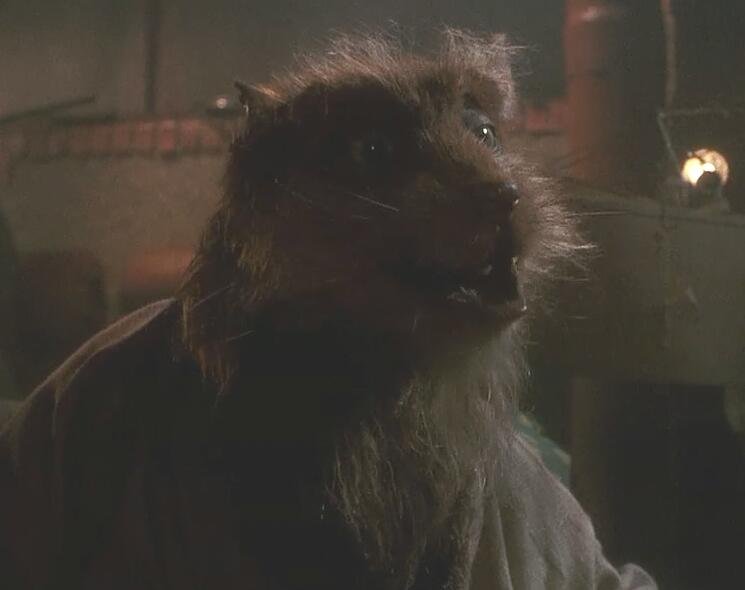 斯普林特的身世