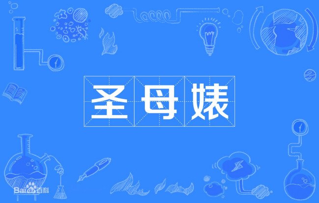 小说里的圣母婊是什么意思？