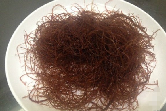 威海的一种海菜俗名“骆驼毛”，它的学名是什么？如何做？