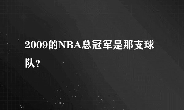 2009的NBA总冠军是那支球队？