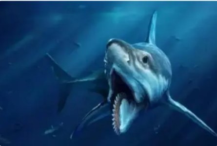 十大深海巨兽都是什么？