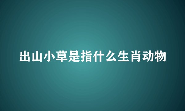 出山小草是指什么生肖动物