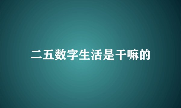 二五数字生活是干嘛的