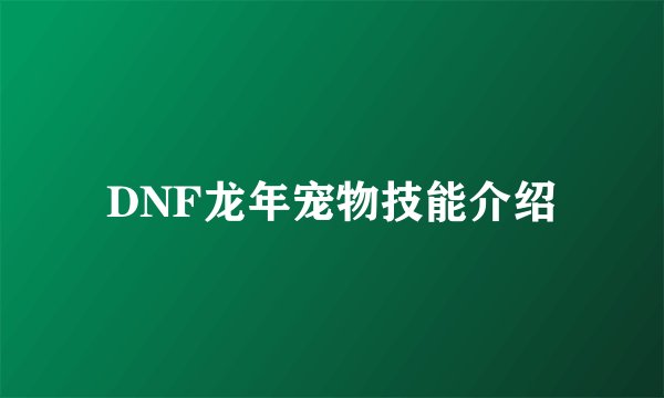 DNF龙年宠物技能介绍