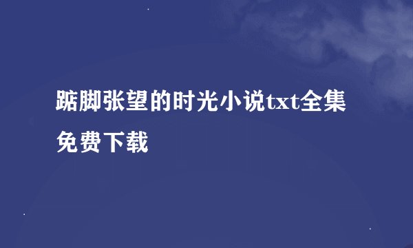 踮脚张望的时光小说txt全集免费下载