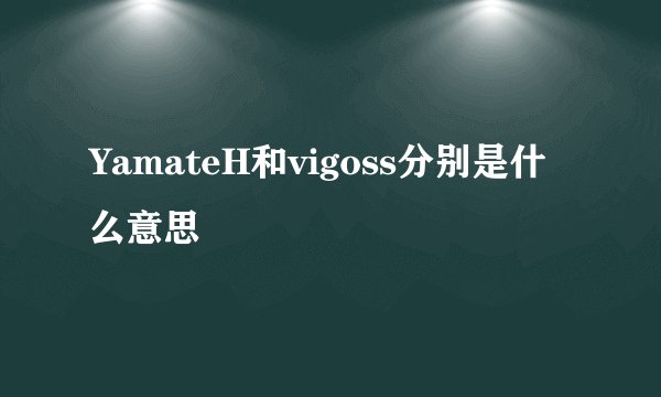 YamateH和vigoss分别是什么意思