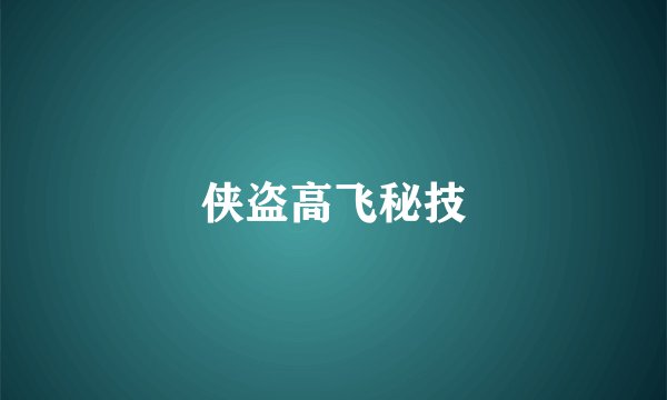 侠盗高飞秘技