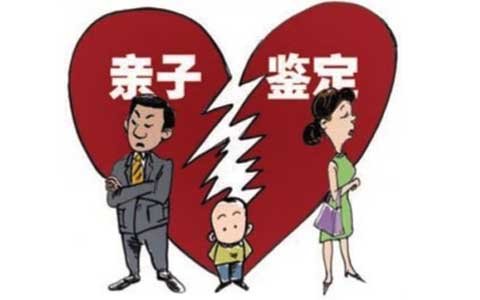 亲子鉴定秘档的编辑推荐