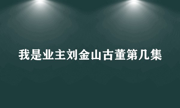 我是业主刘金山古董第几集