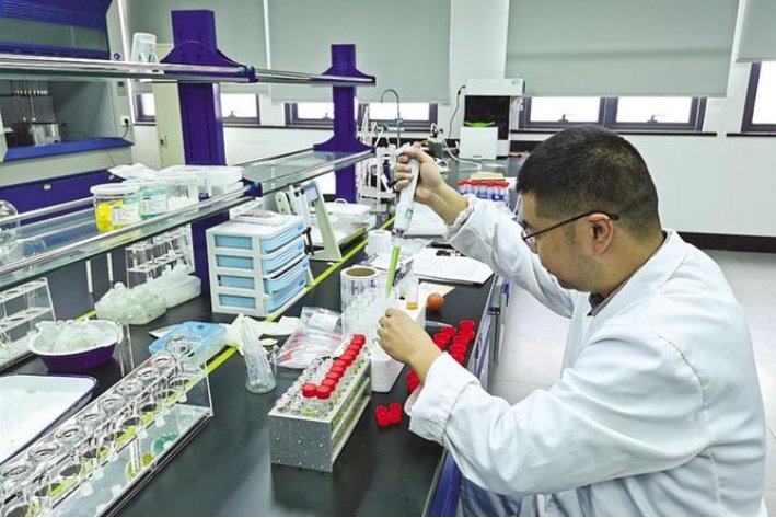 绿色食品认证程序主要包括