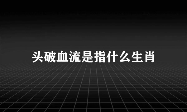 头破血流是指什么生肖