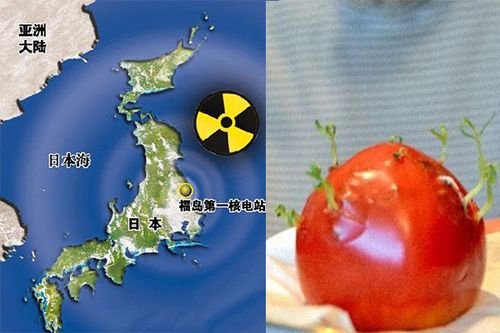 日本将用网红宣传福岛食品,数十万民众反对排海,福岛的食品到底能不能吃?