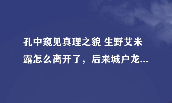 孔中窥见真理之貌 生野艾米露怎么离开了，后来城户龙彦找到了生野艾米露么？