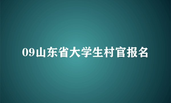 09山东省大学生村官报名