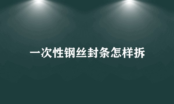 一次性钢丝封条怎样拆