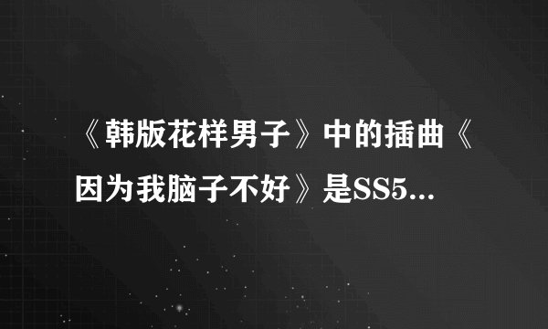 《韩版花样男子》中的插曲《因为我脑子不好》是SS501唱的，歌词内容大意是什么？