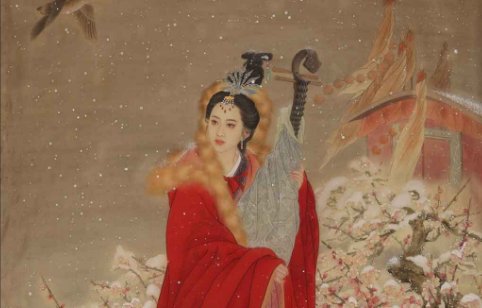 凌府千金宫女皓月的小说是什么？？