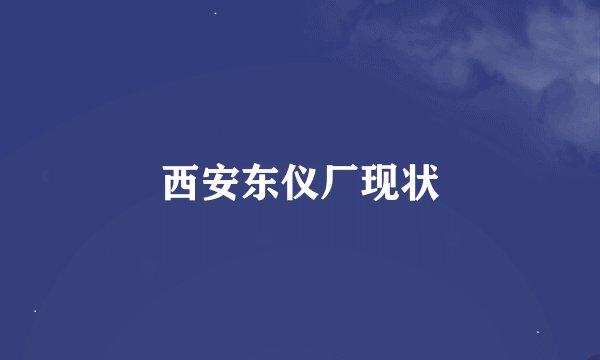 西安东仪厂现状