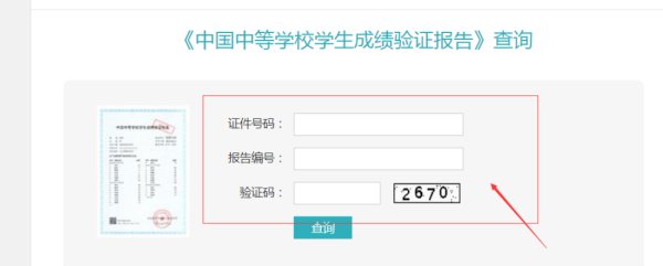 如何通过学信网查询中考成绩？