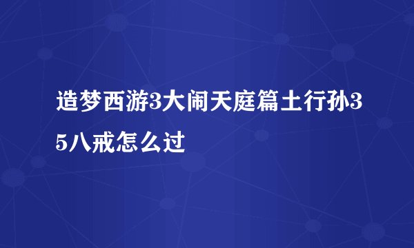 造梦西游3大闹天庭篇土行孙35八戒怎么过