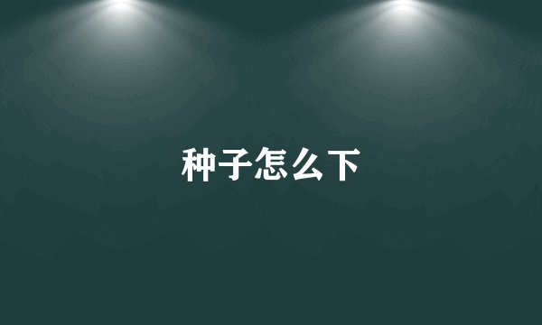 种子怎么下