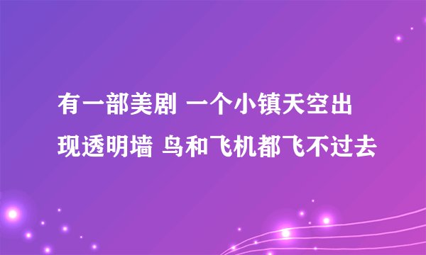 有一部美剧 一个小镇天空出现透明墙 鸟和飞机都飞不过去