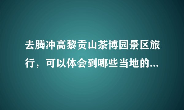 去腾冲高黎贡山茶博园景区旅行，可以体会到哪些当地的风土人情？
