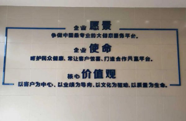 愿景是什么意思？