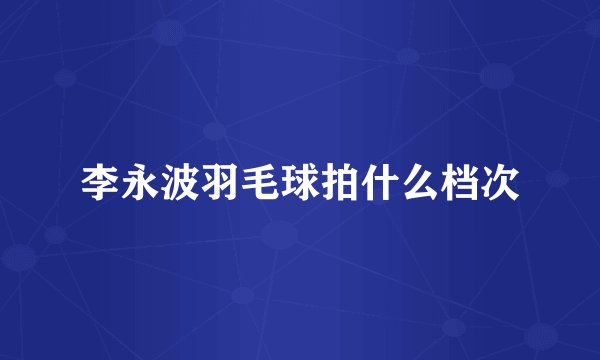 李永波羽毛球拍什么档次