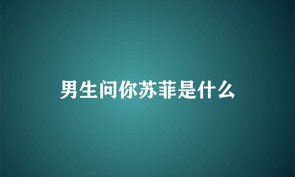 男生问你苏菲是什么