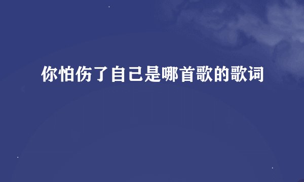 你怕伤了自己是哪首歌的歌词