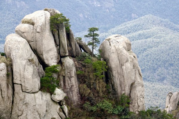 中国四大佛山是哪四座山