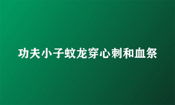 功夫小子蚊龙穿心刺和血祭