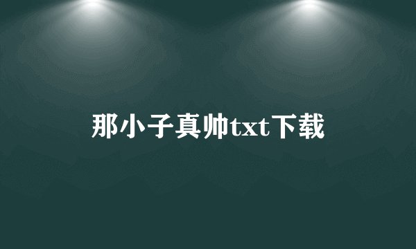 那小子真帅txt下载