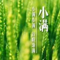 二十四节气分别是什么？