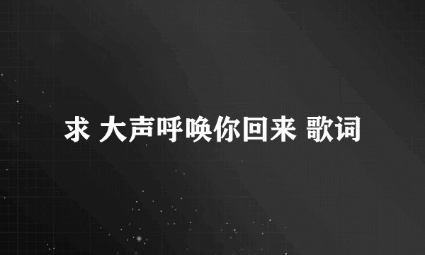 求 大声呼唤你回来 歌词