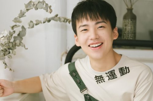 郭麒麟演的电视剧