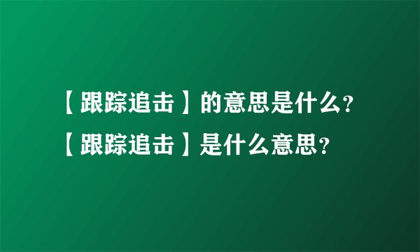 【跟踪追击】的意思是什么?【跟踪追击】是什么意思?