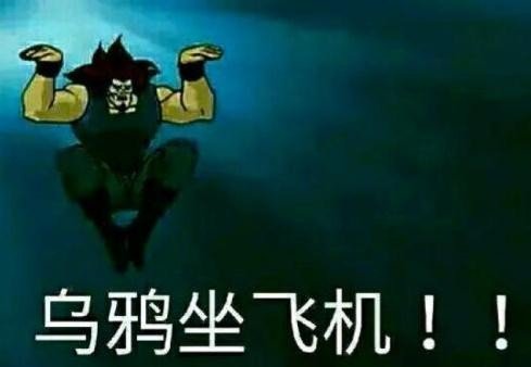 乌鸦坐飞机什么梗？
