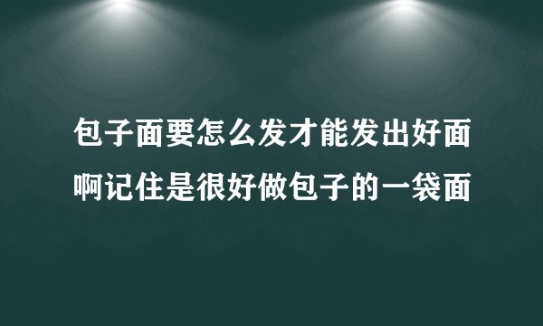 包子面要怎么发才能发出好面啊记住是很好做包子的一袋面