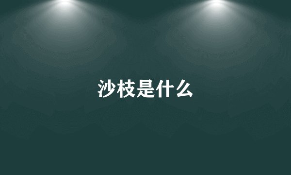 沙枝是什么