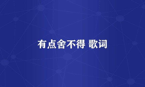 有点舍不得 歌词