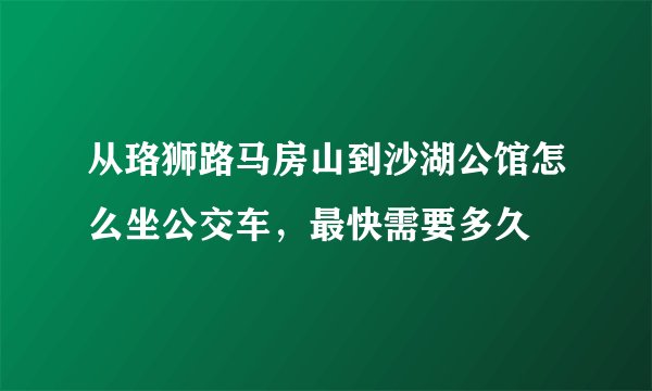 从珞狮路马房山到沙湖公馆怎么坐公交车，最快需要多久