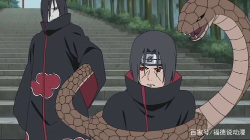 盘点日本动漫《火影忍者》中，“水分”最大的战斗是哪几次？