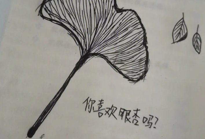 “你喜欢银杏吗？”