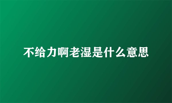 不给力啊老湿是什么意思