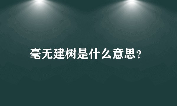 毫无建树是什么意思？