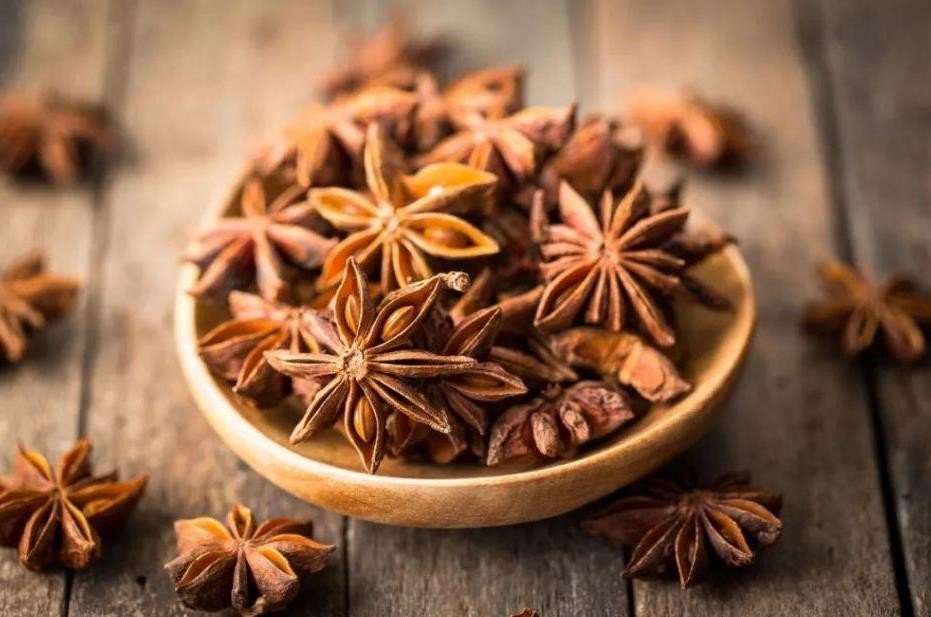 anise是什么意思