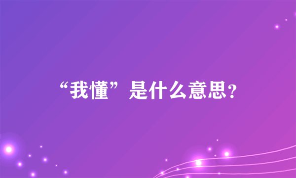 “我懂”是什么意思？